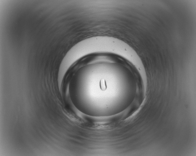 X0000064760186200602101233
