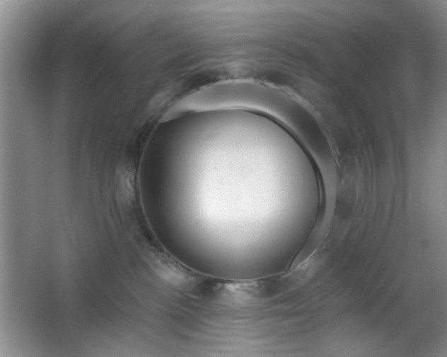 X0000064760188200602101233