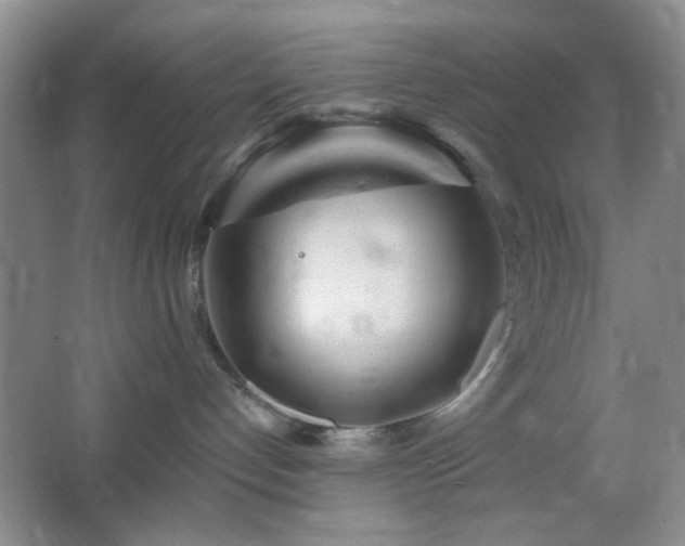 X0000064760192200602101233