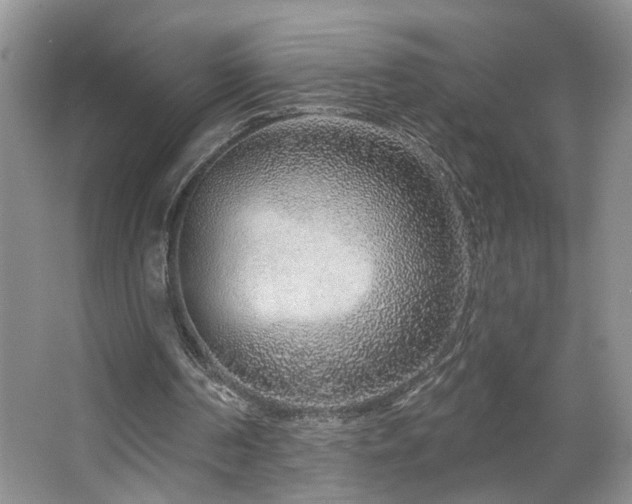 X0000064760194200602101232