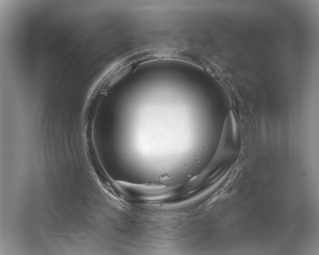 X0000064760197200602101232