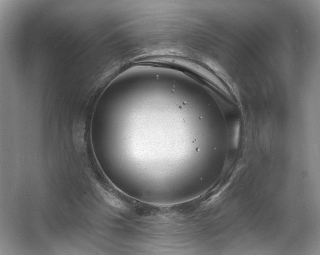 X0000064760201200602101232