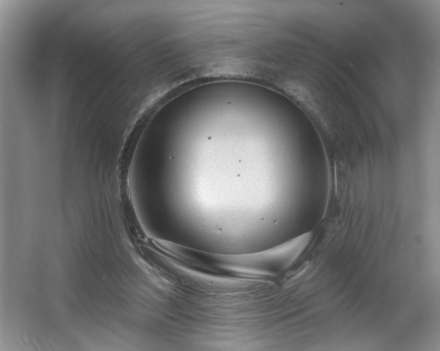 X0000064760204200602101232
