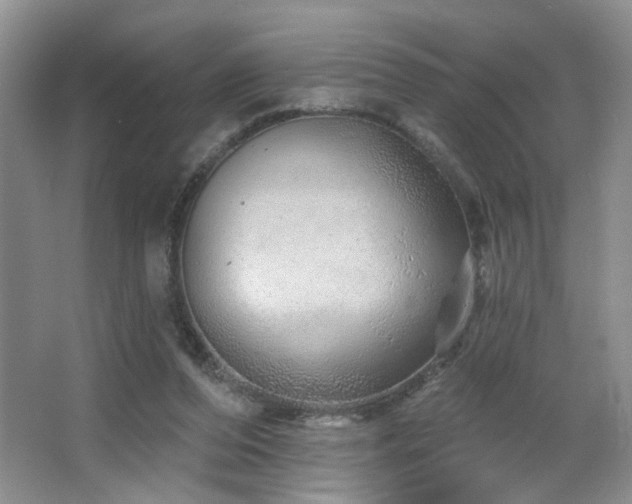 X0000064760208200602101232