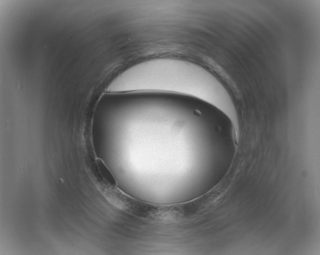 X0000064760209200602101232