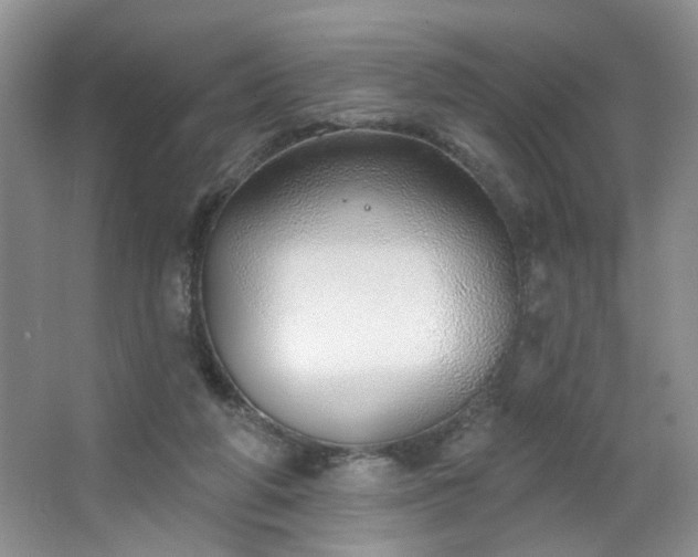 X0000064760210200602101232
