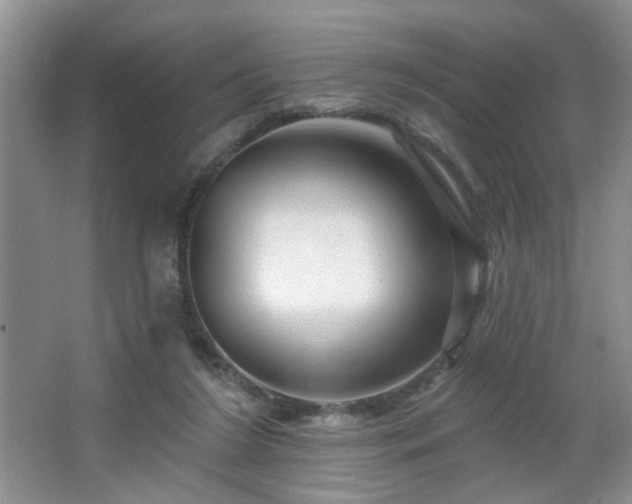 X0000064760212200602101231