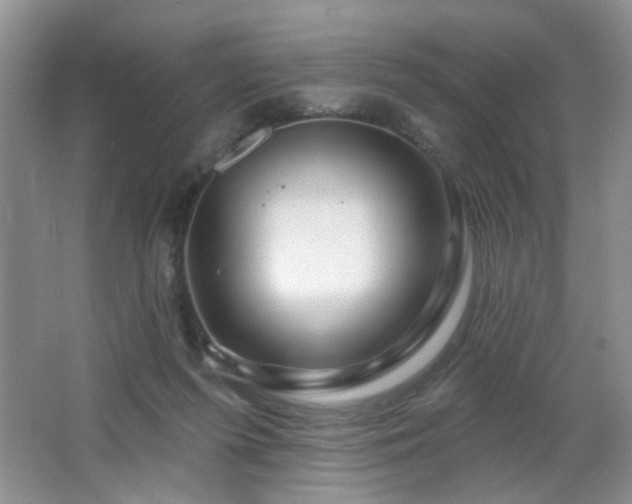 X0000064760215200602101231