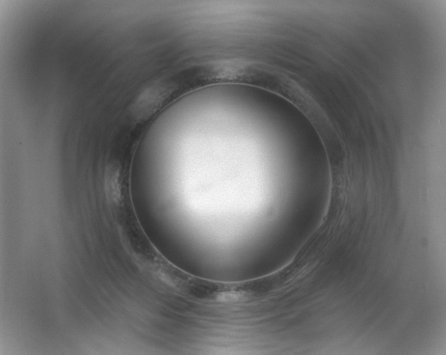 X0000064760216200602101231