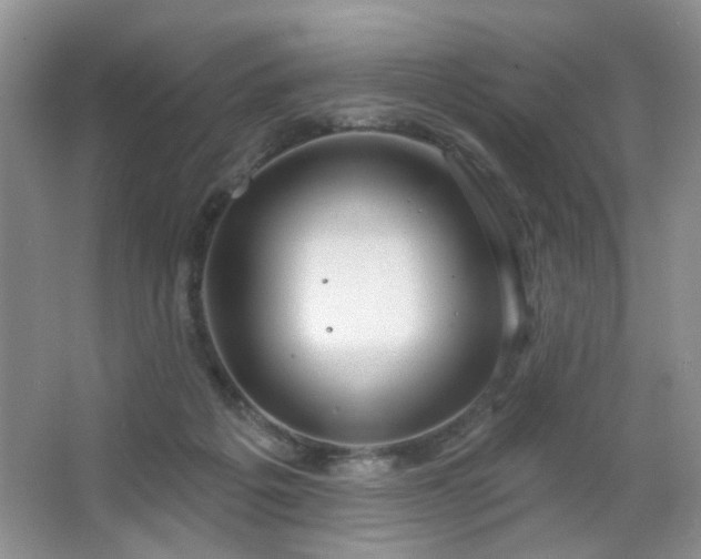 X0000064760217200602101231