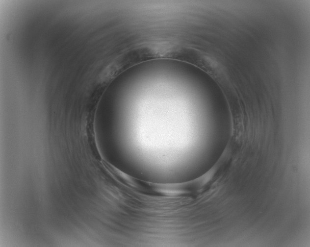 X0000064760221200602101231