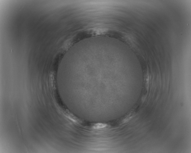 X0000064760222200602101231