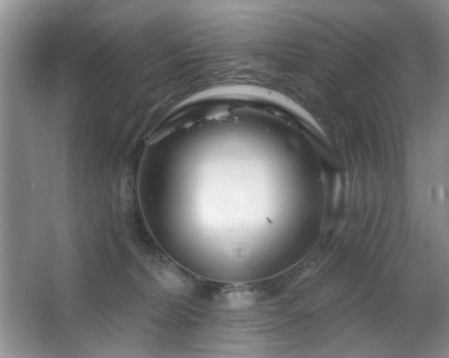 X0000064760228200602101231