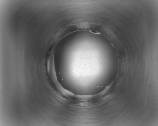 X0000064760229200602101231