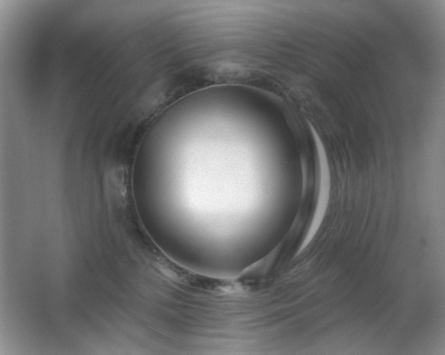 X0000064760232200602101231