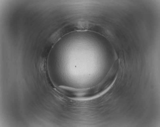 X0000064760233200602101231