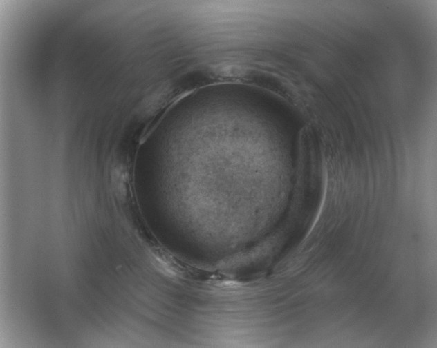 X0000064760235200602101231