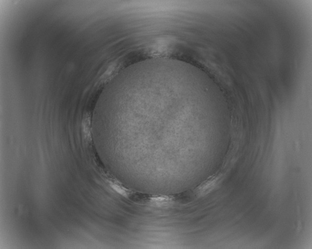 X0000064760240200602101231