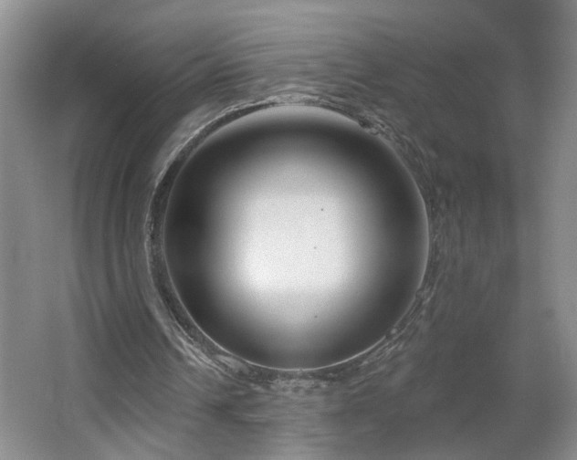 X0000064760242200602101230