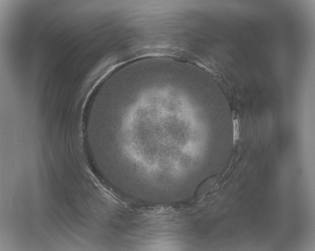 X0000064760243200602101230