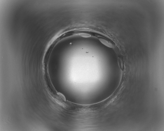 X0000064760246200602101230