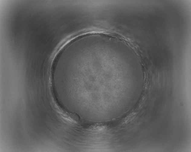 X0000064760247200602101230