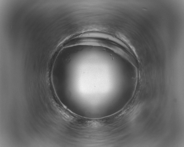 X0000064760249200602101230