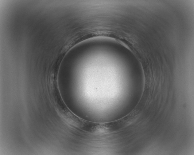 X0000064760263200602101231