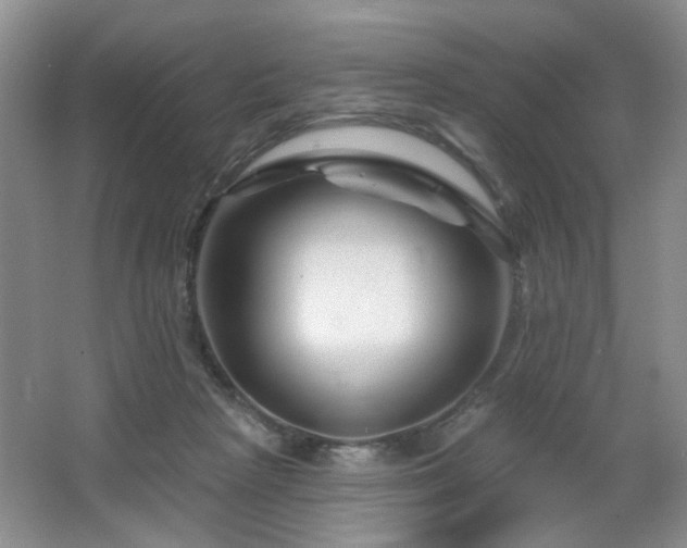 X0000064760265200602101231