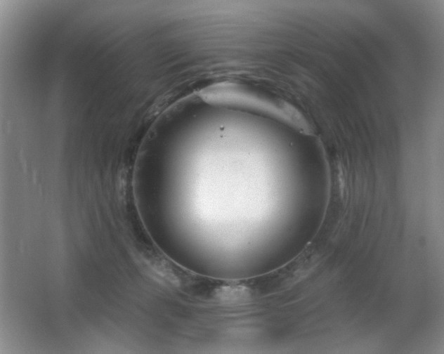 X0000064760271200602101231