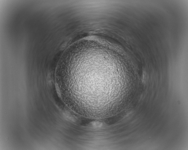X0000064760272200602101231
