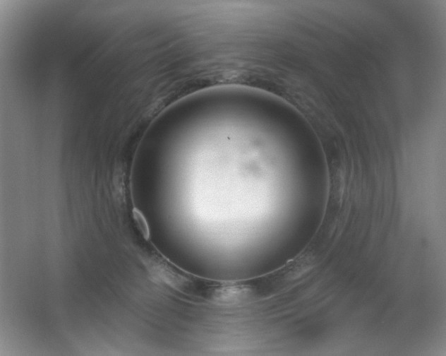 X0000064760274200602101231