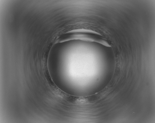 X0000064760283200602101231