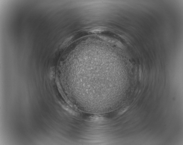 X0000064760284200602101231