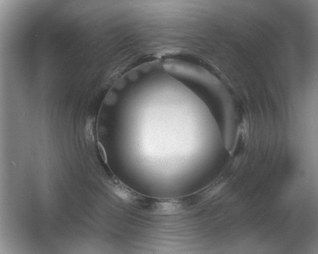 X0000064760286200602101231