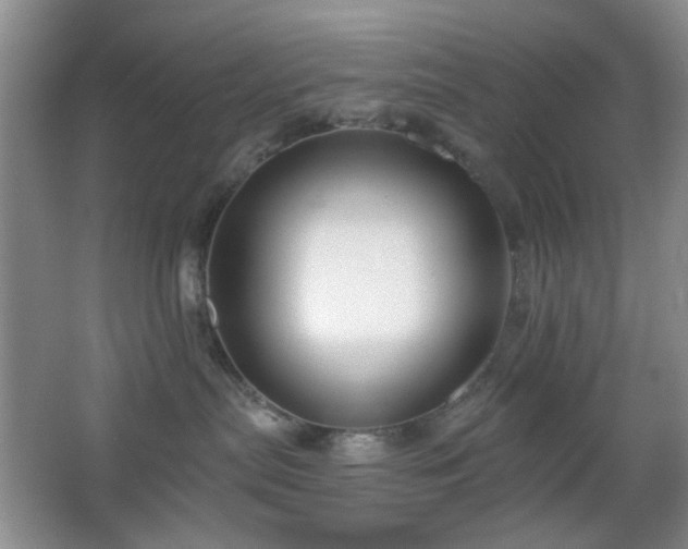 X0000064760287200602101231