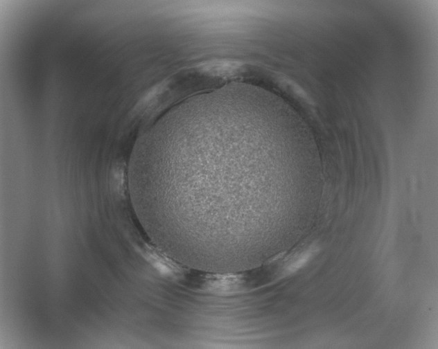 X0000064760288200602101231