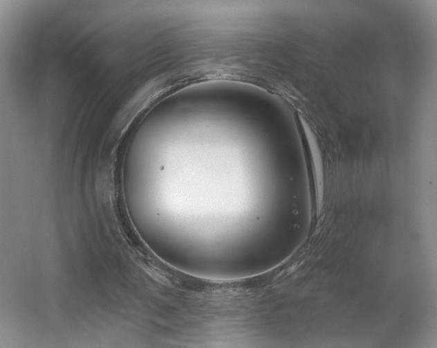 X0000064760291200602101230