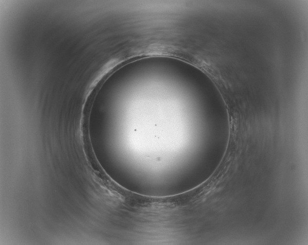 X0000064760292200602101230