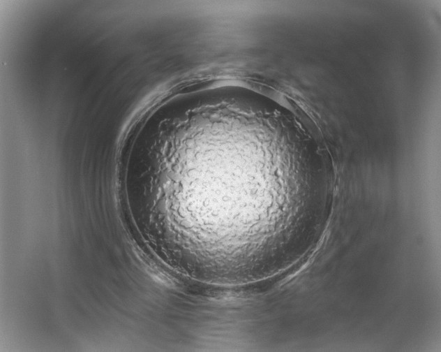 X0000064760293200602101230