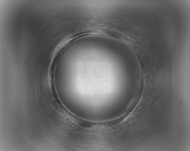 X0000064760294200602101230
