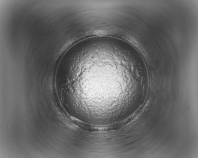 X0000064760297200602101230