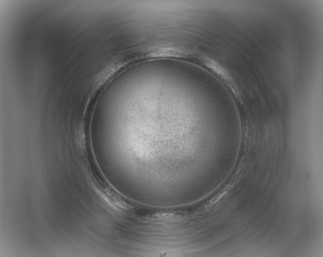 X0000064760298200602101230