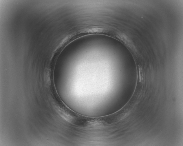 X0000064760300200602101230