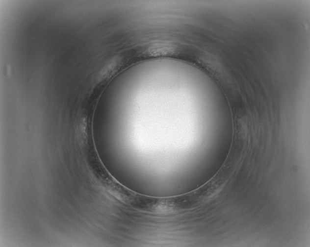 X0000064760308200602101230