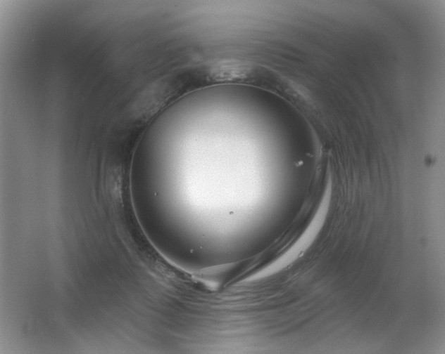 X0000064760315200602101230