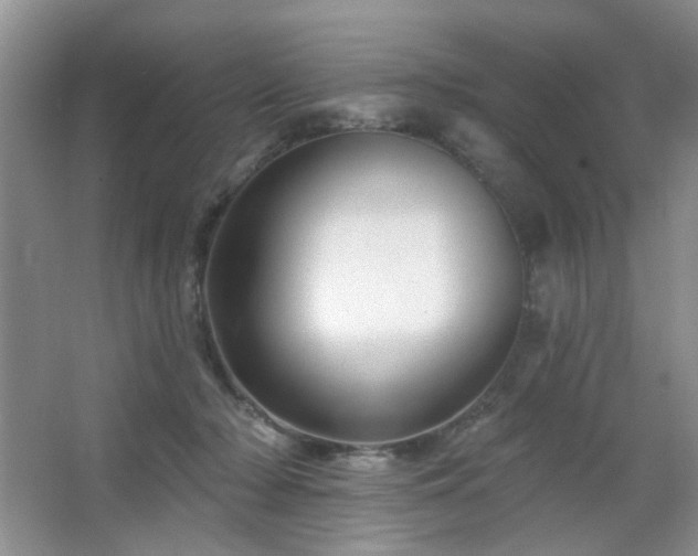 X0000064760318200602101230
