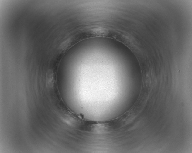 X0000064760320200602101230