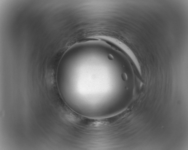 X0000064760323200602101230