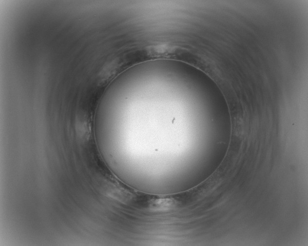 X0000064760324200602101230